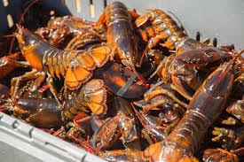 $400K in lobster meat destined for Costco stores in Illinois stolen: broker